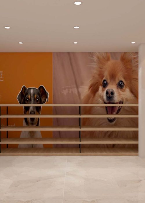 Commercial interior designers in hyderabad (2)